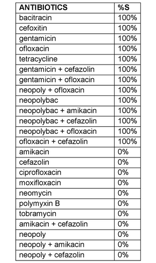 Abiotrophia defectiva